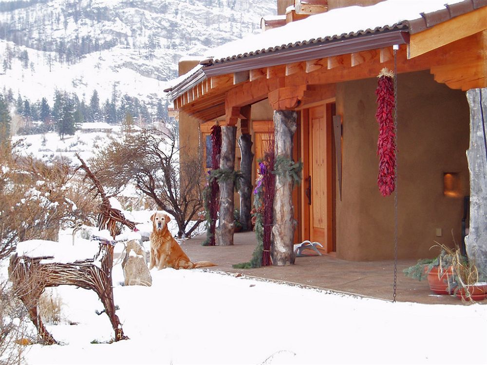 Bighorn Ridge Guesthouse Okanagan Falls Zewnętrze zdjęcie