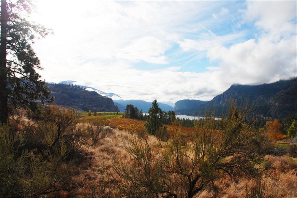 Bighorn Ridge Guesthouse Okanagan Falls Zewnętrze zdjęcie