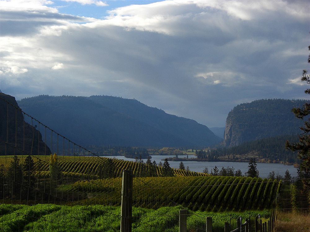 Bighorn Ridge Guesthouse Okanagan Falls Zewnętrze zdjęcie