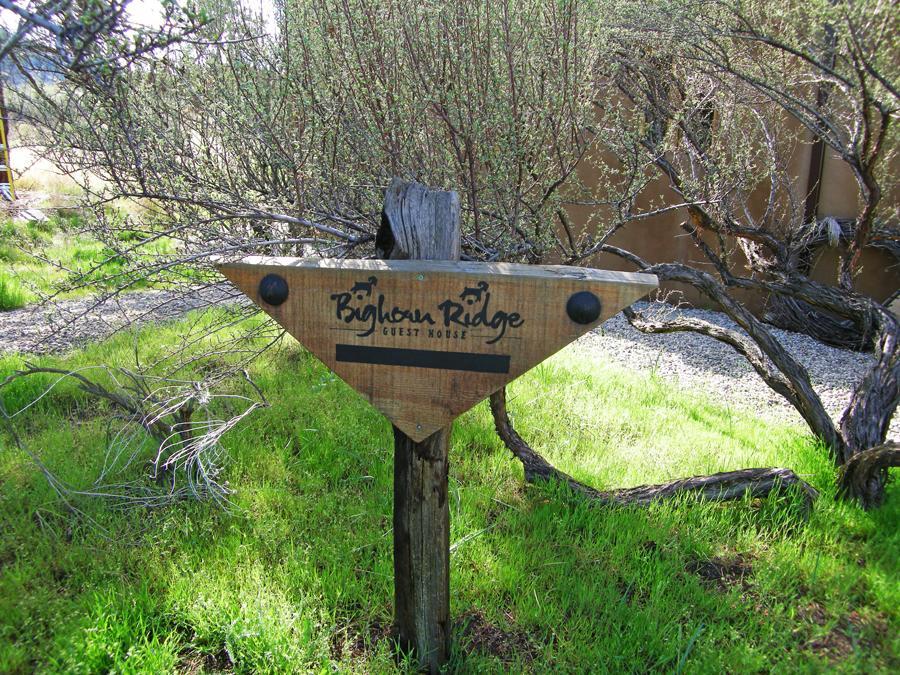 Bighorn Ridge Guesthouse Okanagan Falls Zewnętrze zdjęcie